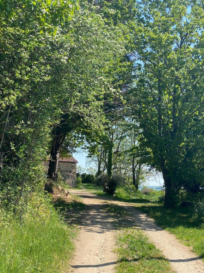 Gîte de la Doit, en pleine campagne, pour 14 pers Saint-Marcelin-de-Cray Extérieur photo